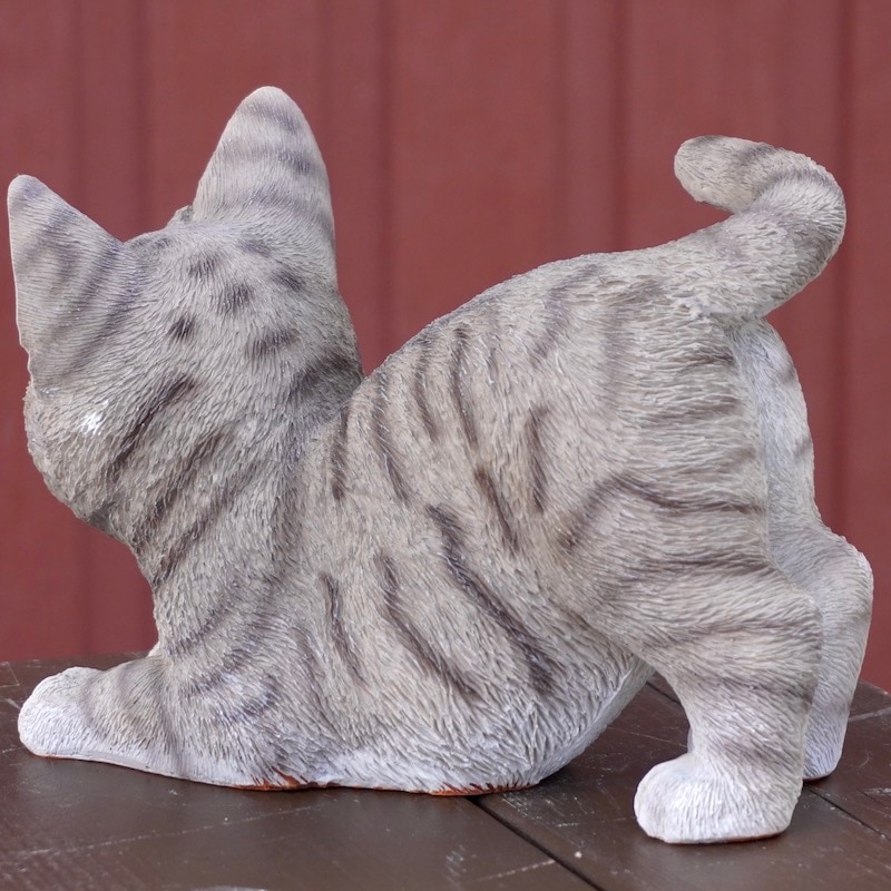 愛くるしいグレーの猫ちゃん