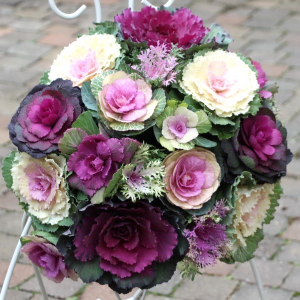 2_000000003356.jpg?1678209904