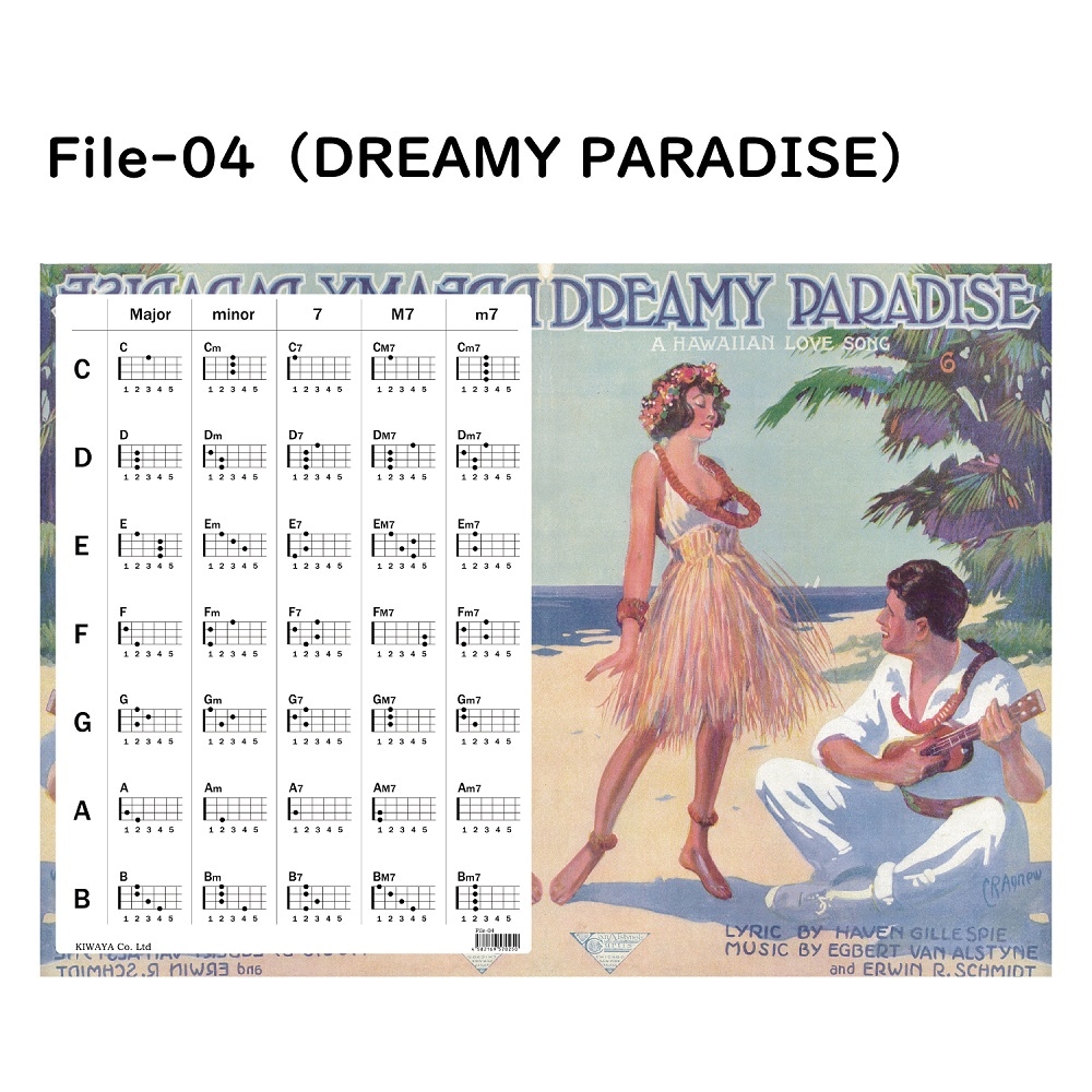 KIWAYAオリジナル】ウクレレコードクリアファイル｜ウクレレ専門店