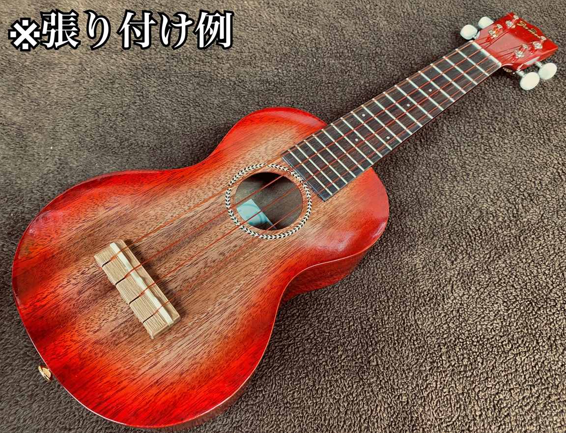 Neotenic Sound ナイロン弦セット】 レッドライン High-Gセット