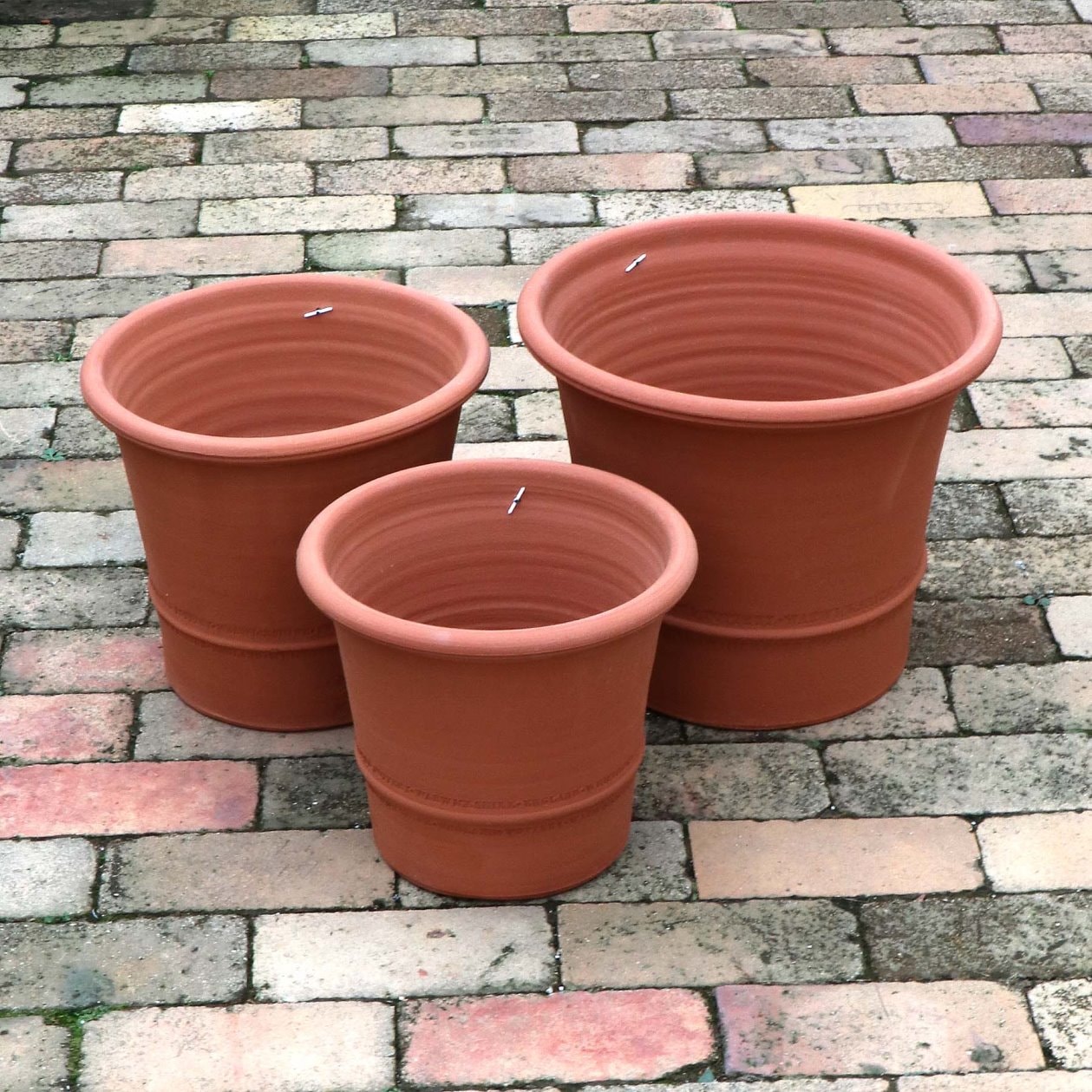 素焼き鉢 ウィッチフォード バクサスポット 643 テラコッタ