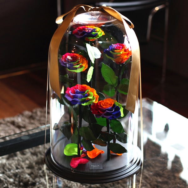 レインボーローズ プリザーブドフラワー デスティニーローズ5本