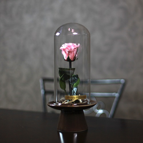 ピンクローズ プリザーブドフラワー ガラスドーム | プリザーブド