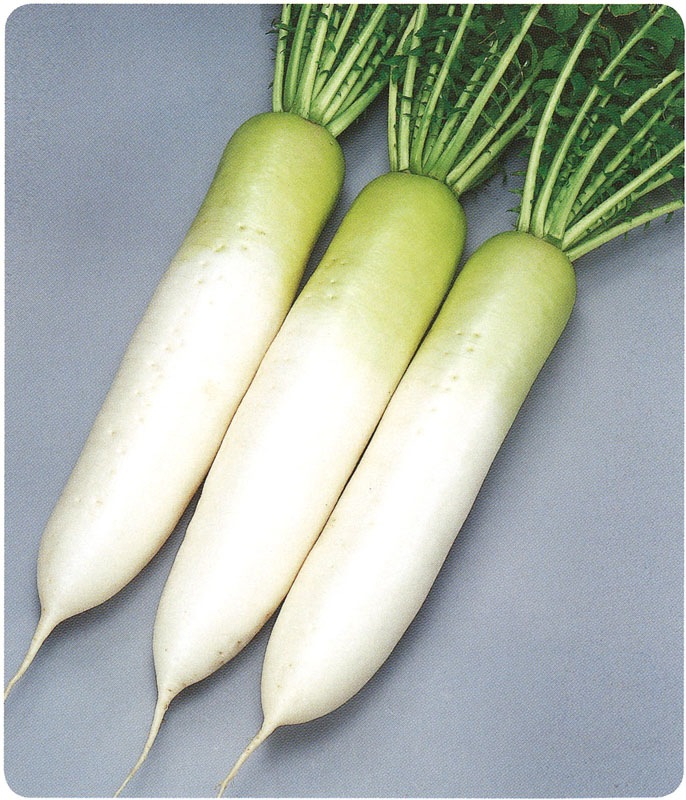 サカタのタネ ダイコン種子 天宝【取り寄せ注文】※通年商品＊種子有効