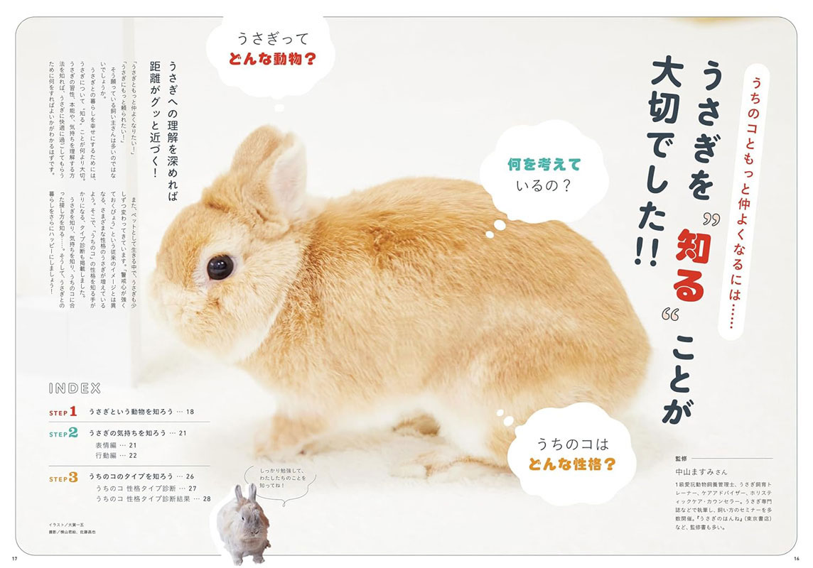 うさぎのきもち vol.7の通販はココロのおうち