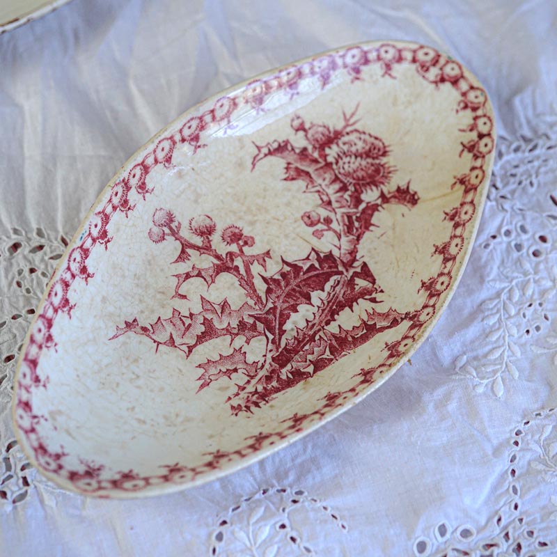 レア 廃盤 ジアン GIEN 大皿 d.lalande 絵皿 レモン 花 スミレ レア