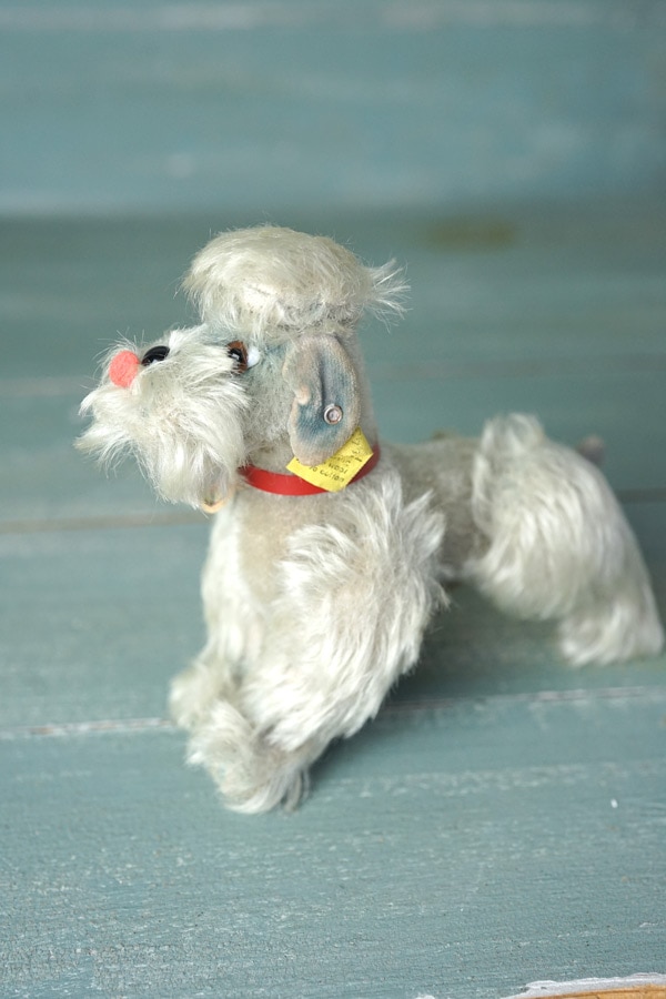 アンティーク シュタイフ プードル Steiff Snobby 14cm gt-1038の通販