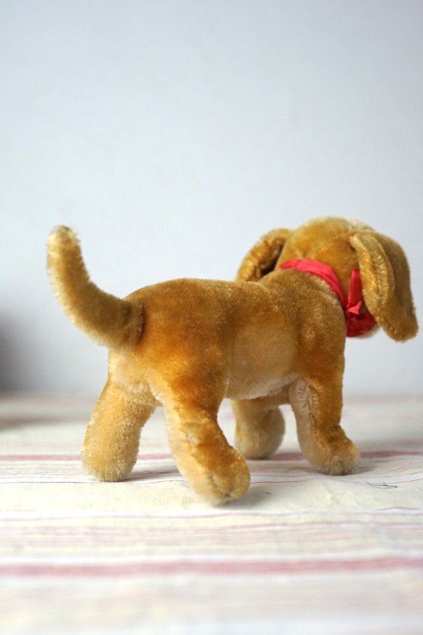 アンティーク シュタイフ ダックスフント Steiff Hexie 15cmサイズ gt