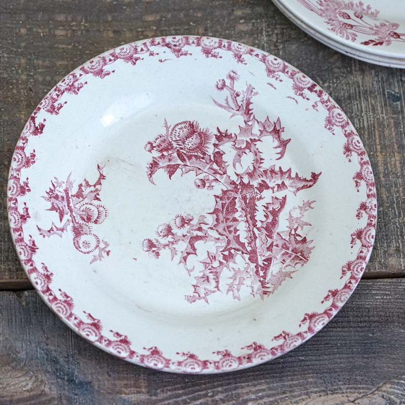 アンティークジアンGienアザミChardonsディナープレート24cm gc-1192の