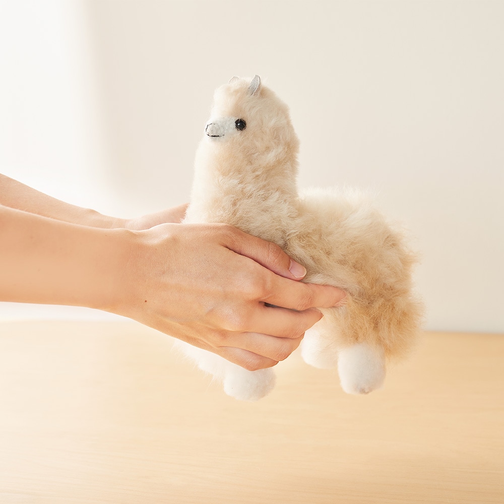 elvang｜アルパカ テディ 20*20 | KONCENT Web shop｜アッシュ