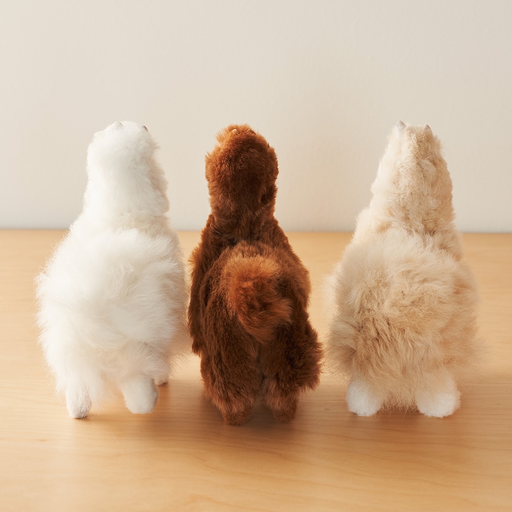 elvang｜アルパカ テディ 20*20 | KONCENT Web shop｜アッシュ