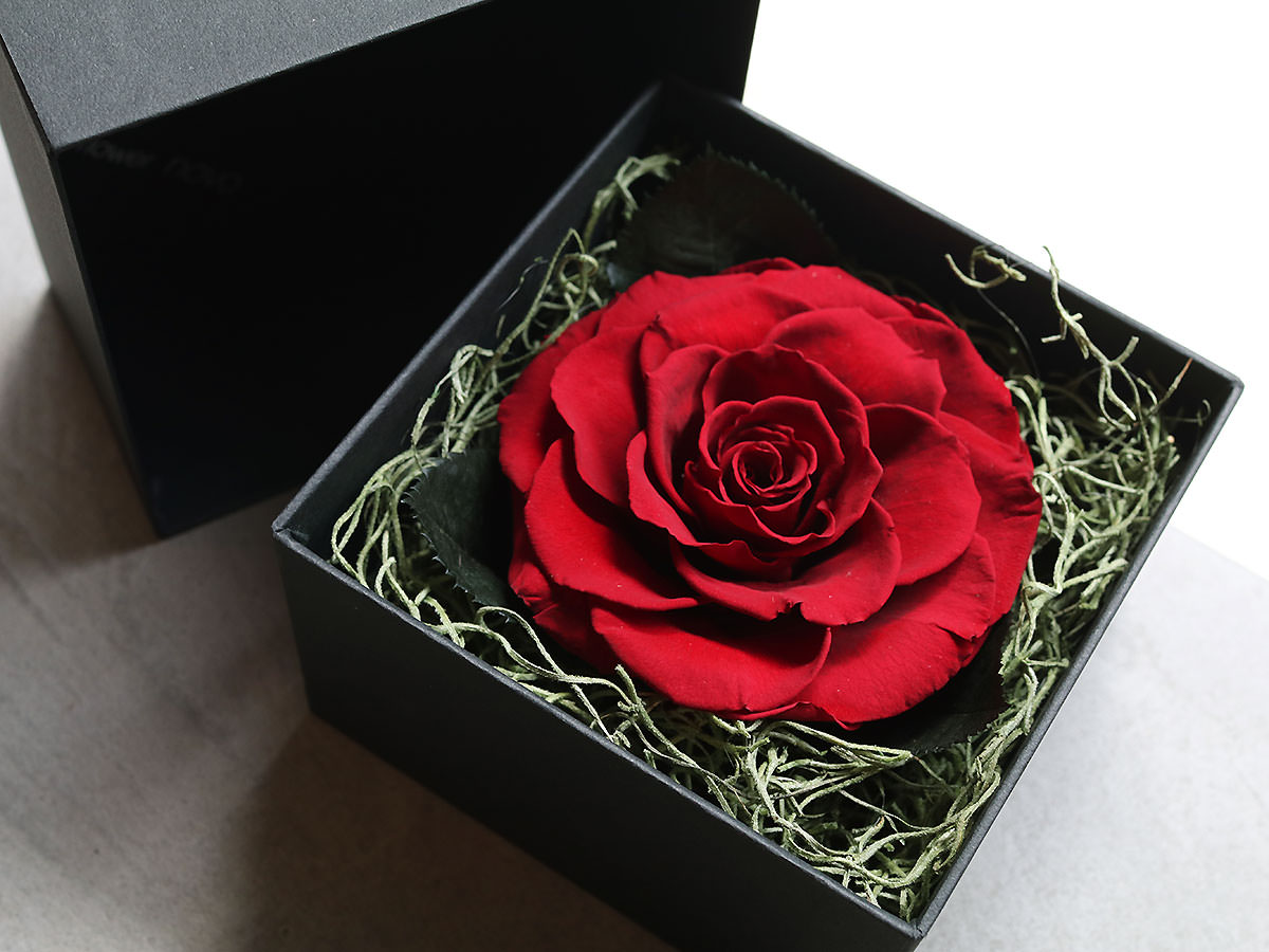 プリザーブドフラワー・ロングボックスアレンジメント 003 | すべての