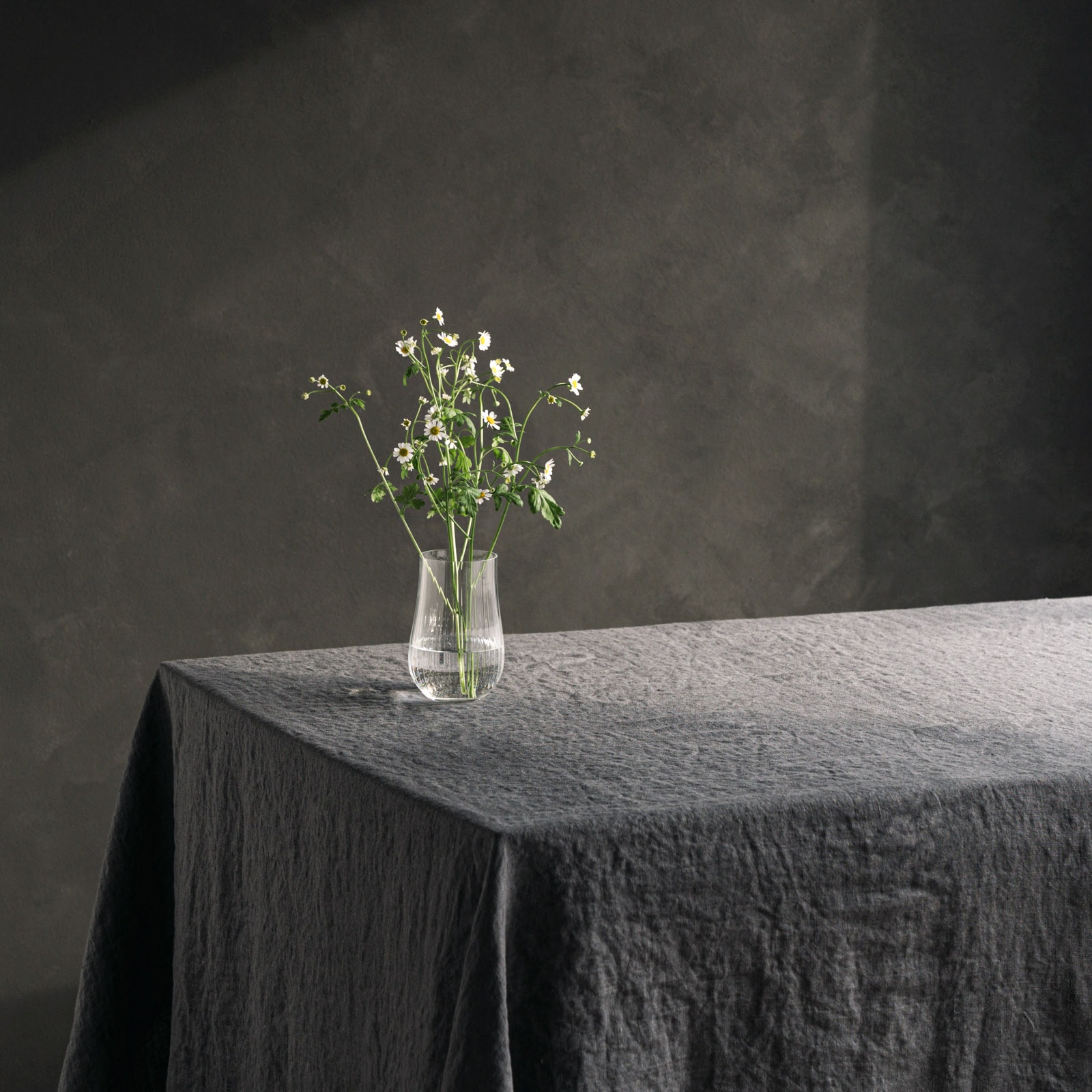 テーブルクロスL _ ポワブル