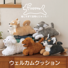 special price》モチマシュビーズ ソファクッション