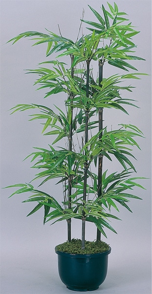 黒竹 観葉植物 鉢植え プラント 人工植物 C3508-100（商品番号：wc3508