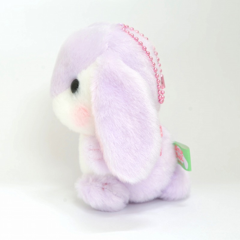 ぽてうさろっぴー LMC すみれちゃん | うさぎ専門店ラッキーハート