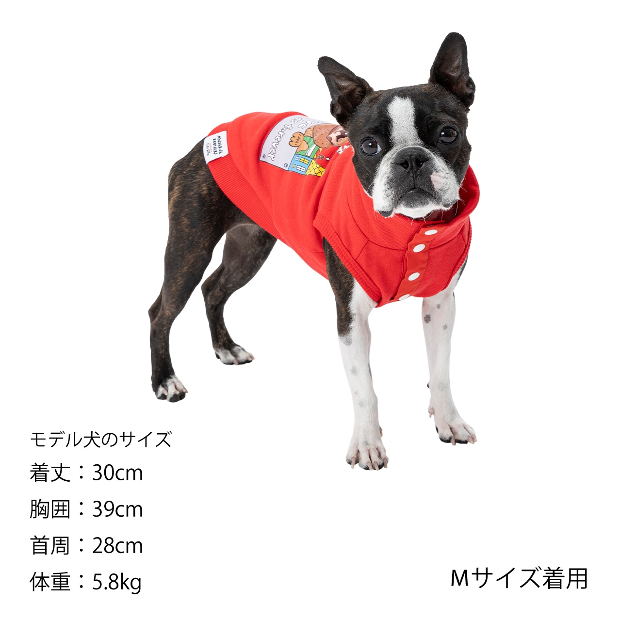 Chi-bee SNAP VEST | WEAR | 犬服 MANDARINE BROTHERS マンダリン