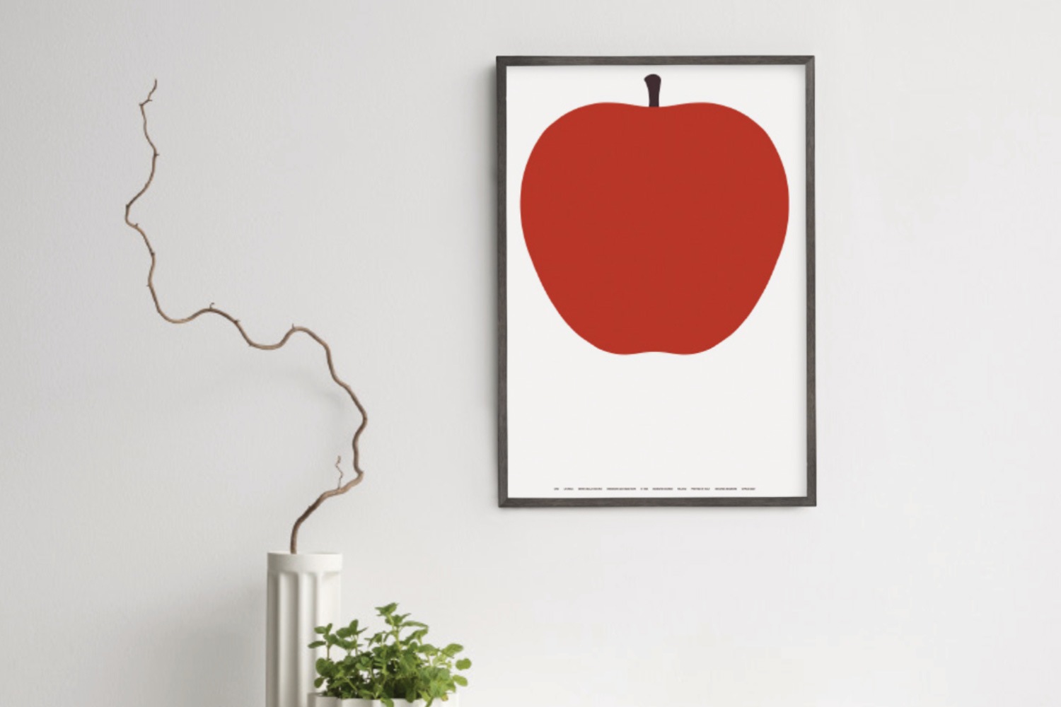 2_000000001112.jpg?1716255868