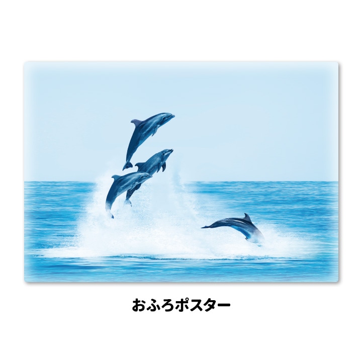 お風呂ポスター【イルカ】マグネットシート製【宅配便限定