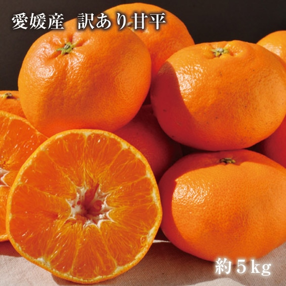 送料無料】【3月上旬より出荷 最終入荷分 大特価!! 限定10箱! 早いもの