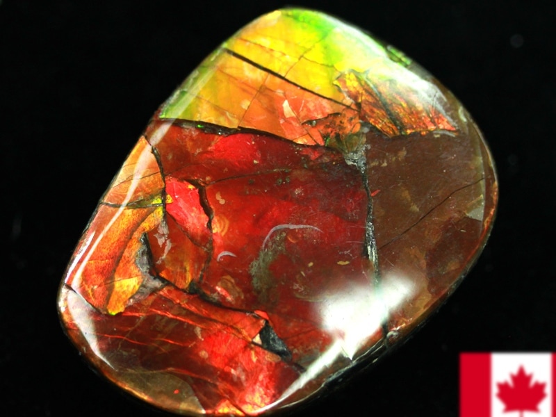 超激レア！虹色に輝くイリデッセンス☆アンモナイト化石宝石☆7000万年