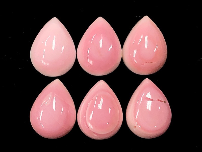 高発色！女王のピンク☆宝石ルース/クイーンコンクシェル(コンク貝