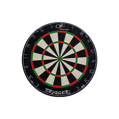 ダイナスティ ダーツボード エンブレムキング2 JSFD エルスタイル 451