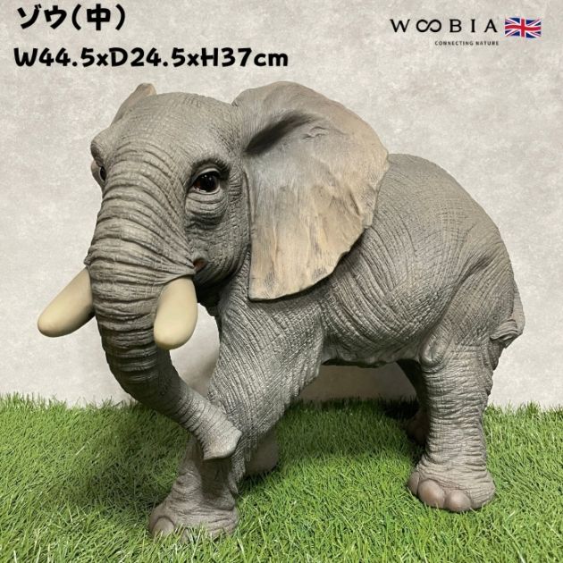 置物 ゾウ 象 中 高さ37cm 縁起物 風水 woobia ウービア 大きい