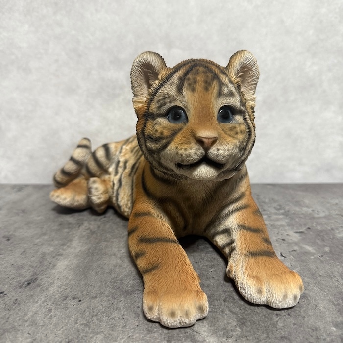 7_000000002118.jpg?1765613589