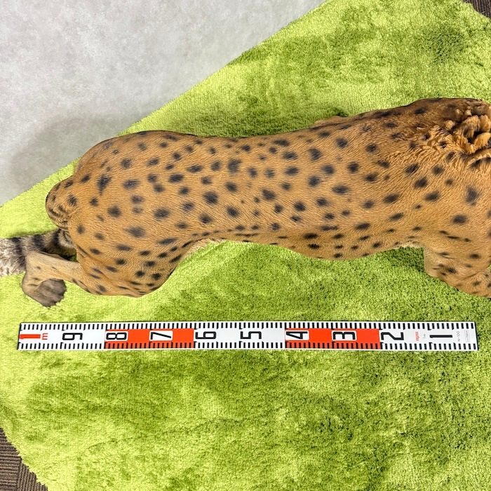 置物 歩くチーター 特大 高さ49.5cm woobia ウービア 大きい かわいい
