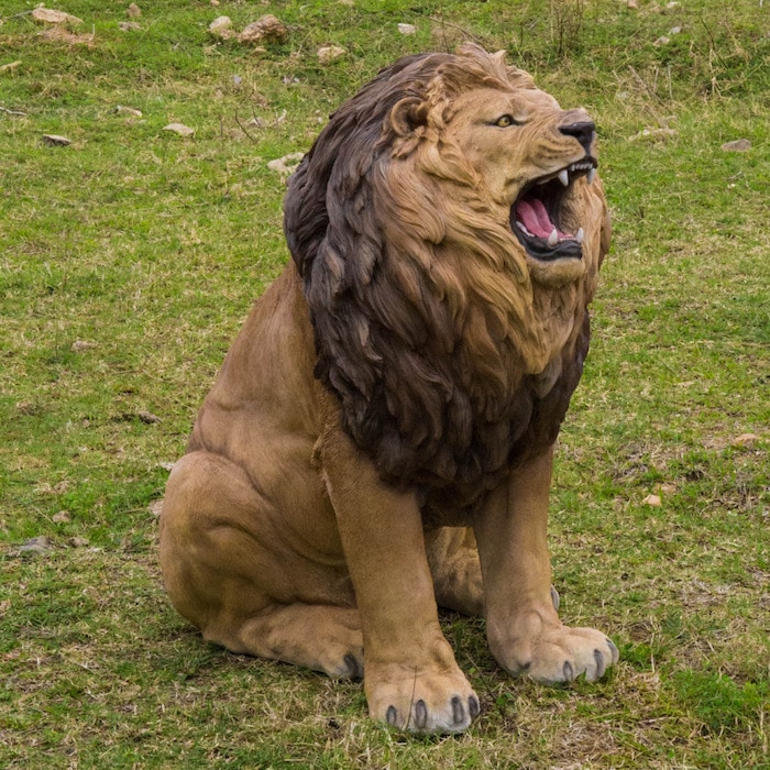 置物 吠えるライオン 特大 高さ108cm woobia ウービア 大きい かわいい