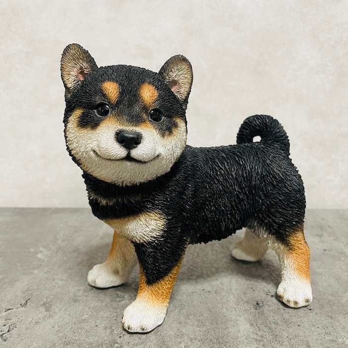 2_000000002065.jpg?1737609296