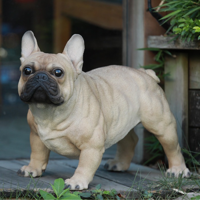 置物 フレンチ・ブルドッグ 大 イヌ 犬 高さ33cm woobia ウービア