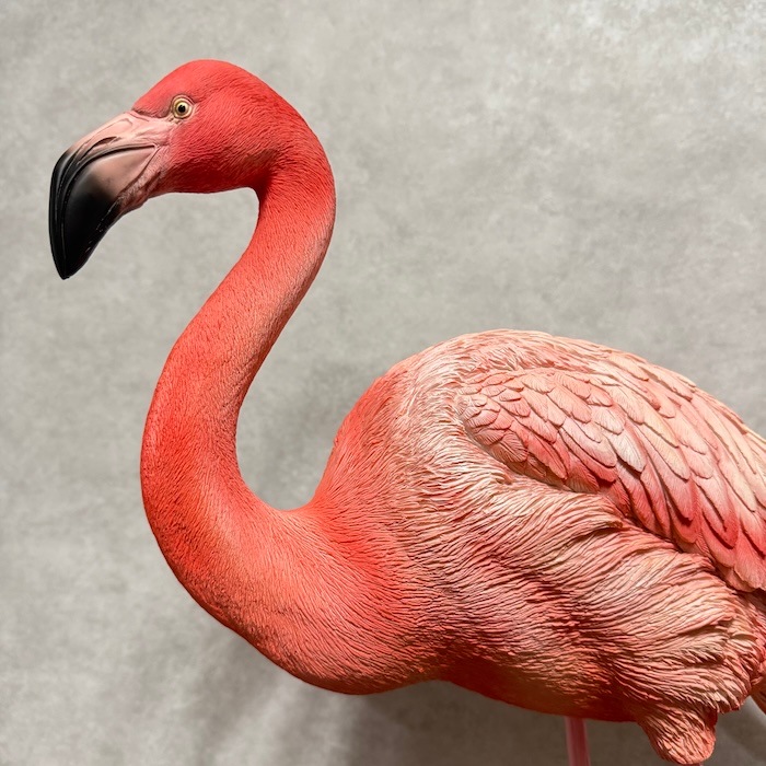 17_000000002091.jpg?1760503554