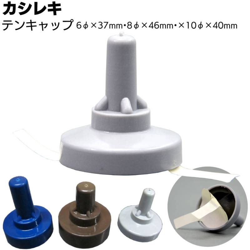 カシレキ テンキャップ 折板屋根用 ＜コーティング材入りボルト