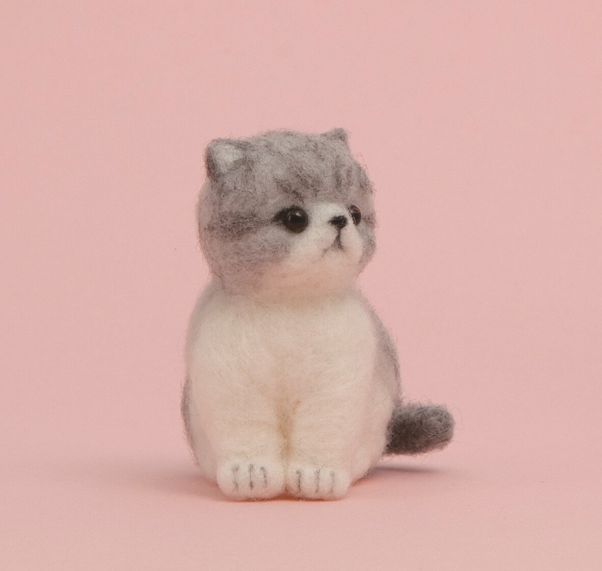 羊毛フェルトキット エキゾチックショートヘア 猫 羊毛 | 羊毛フェルト