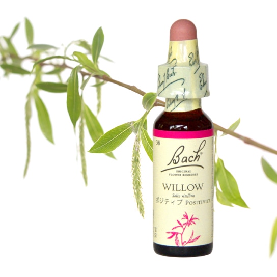 DNA クリアリング[DNA Clearing]#60 | ブランド一覧,アンジェリック