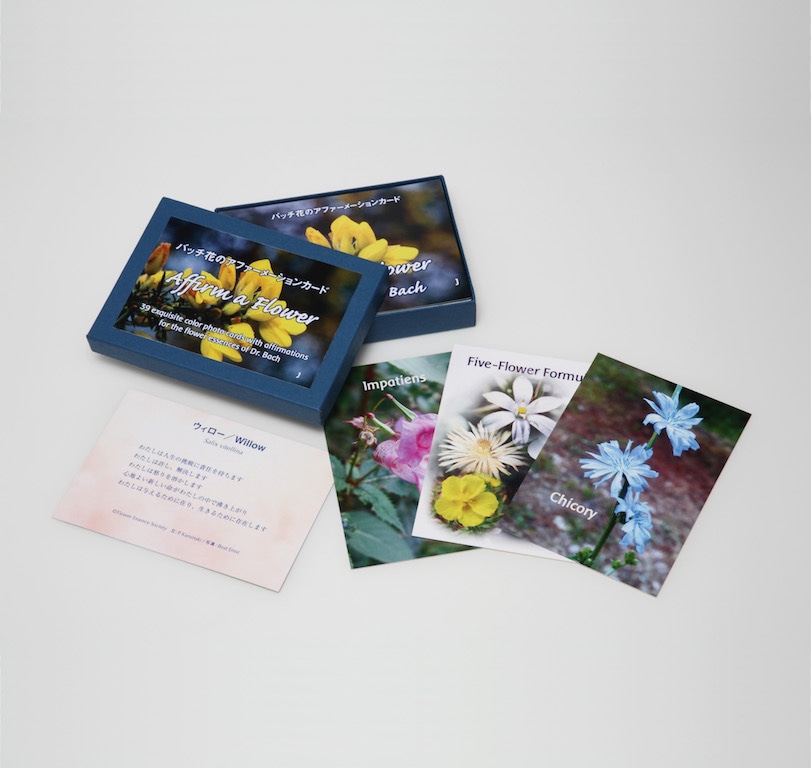 エインズワース バッチフラワーエッセンス10ml 40本キット | ブランド