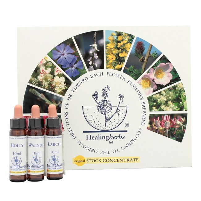 チャクラキット全8本 | ブランド一覧,ヒマラヤンフラワーエンハンサー