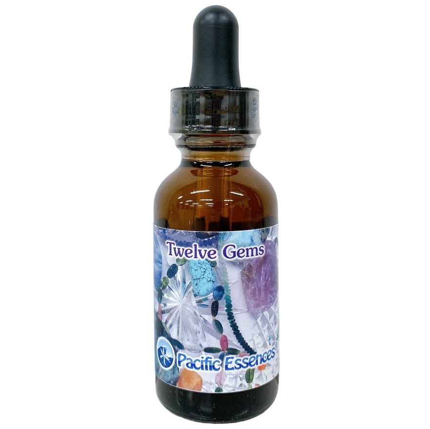 イルカ(デルフ)[Dolphin] | ブランド一覧,PHIエッセンス,イルカ