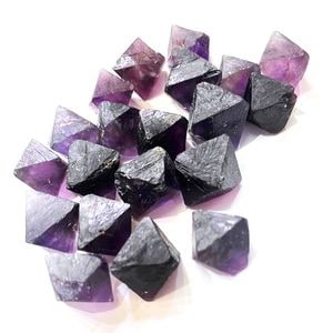 ついに登場！！】コロンビアナイト 約12g 1個売り | ☆名前から探す,カ