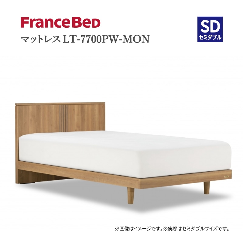 フランスベッド】 セミダブル・ベッドセット（レッグタイプ） DL