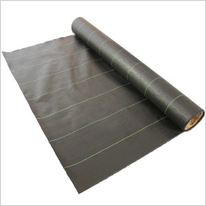 1_000000000249.jpg?1678209907