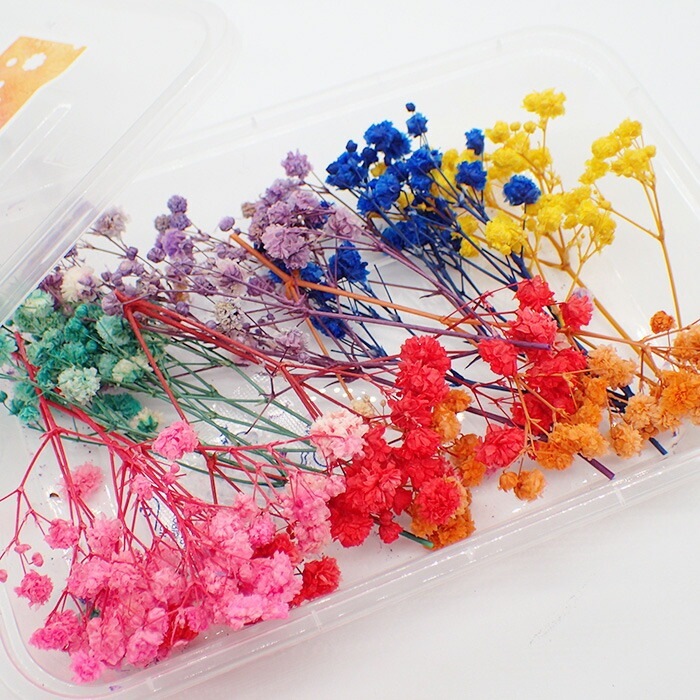デコパーツ【94. ドライフラワー かすみ草 7色セット】 カスミソウ