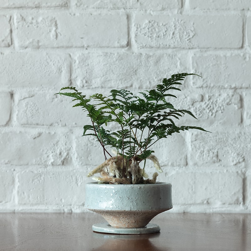 植木鉢 松帆 | Home accessory,Planters プランター | | P.F.S. Online