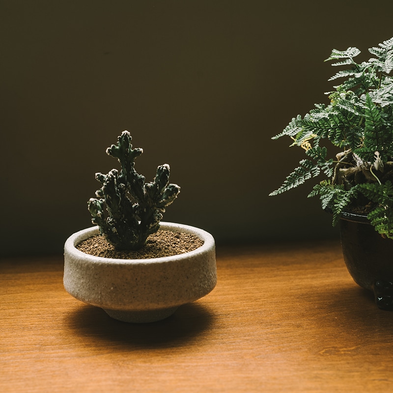 植木鉢 松帆 | Home accessory,Planters プランター | | P.F.S. Online