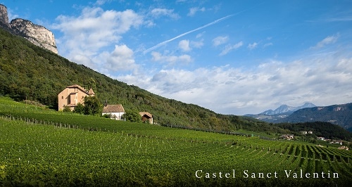 サン・ミケーレ・アッピアーノ “サンクト・ヴァレンティン”パッシート