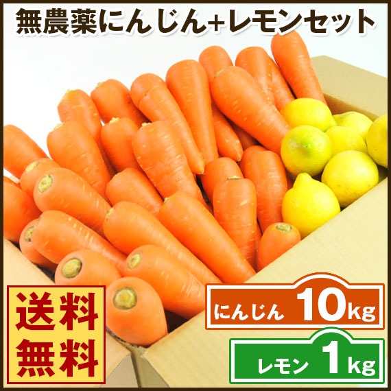 送料無料野菜セット（無農薬にんじん10kg＋レモン1kg