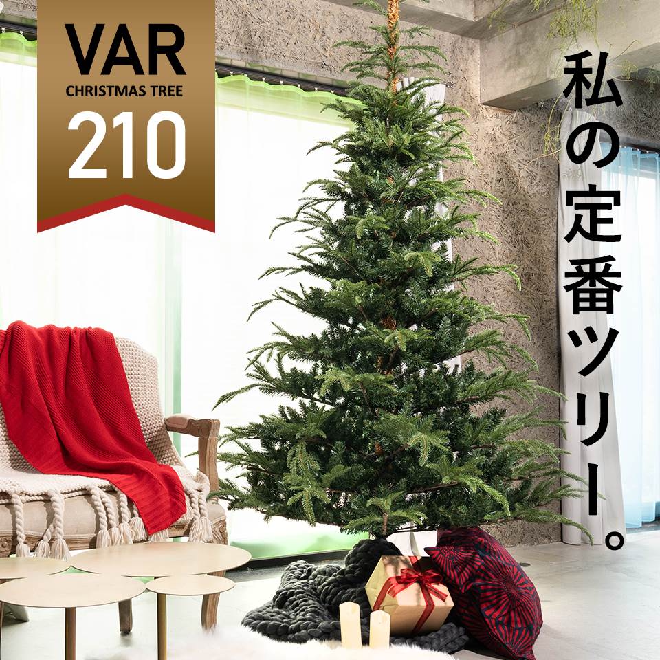 数量限定 ヌードツリー 210cm クリスマスツリー VAR ヴァール もみの木