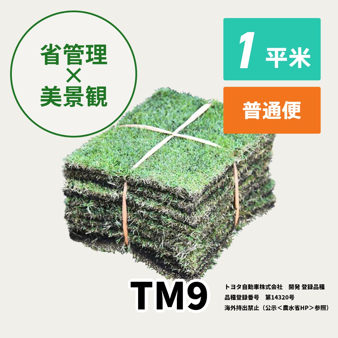 TM9（2平米）【クール便/送料込】 | 芝生,TM9 | HAYASHIオンラインストア
